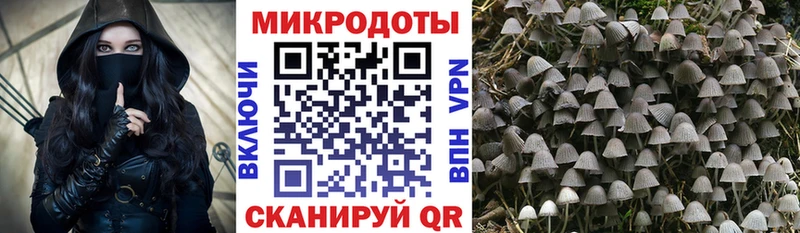 Галлюциногенные грибы Psilocybe  Десногорск 